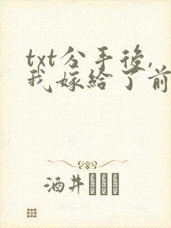 txt分手后,我嫁给了前男友的小叔