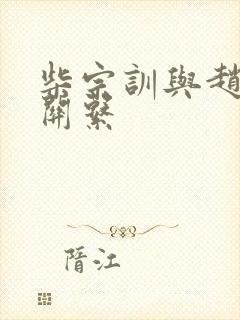 柴宗训与赵匡胤关系封面