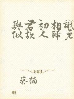与君初相识,恰似故人归免费观看