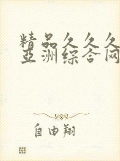 精品久久久久久亚洲综合网站
