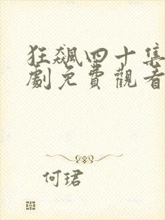 狂飙四十集连续剧免费观看