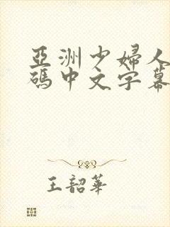 亚洲少妇人妻乱码中文字幕