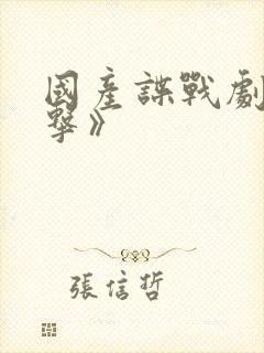 国产谍战剧《反击》