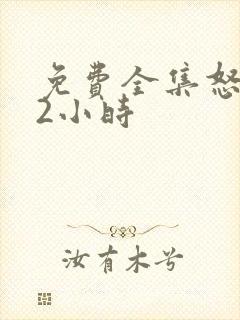 免费全集怒火12小时