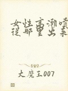 女性高潮喷水是从哪里出来的