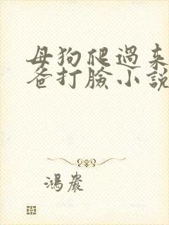 母狗爬过来叫爸爸打脸小说