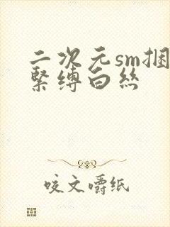 二次元sm捆绑紧缚白丝封面