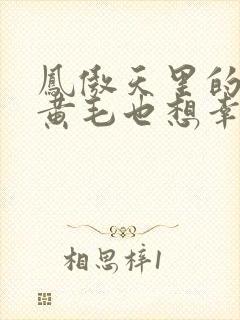 凤傲天里的反派黄毛也想幸福小说