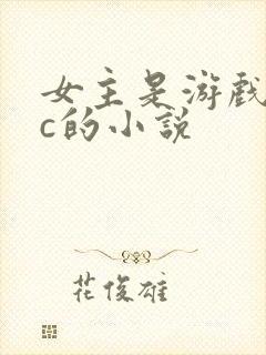 女主是游戏npc的小说