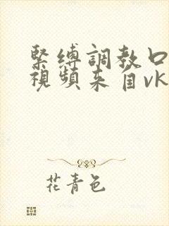 紧缚调教口球的视频来自vk