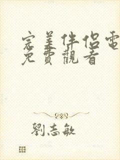 完美伴侣电视剧免费观看封面