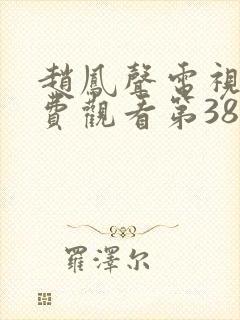 赵凤声电视剧免费观看第38集