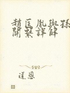 赵匡胤与孙太真关系详解