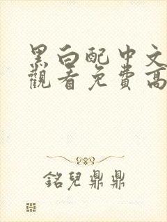 黑白配中文在线观看免费高清电影