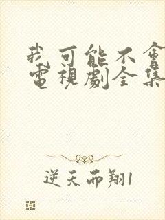 我可能不会爱你电视剧全集