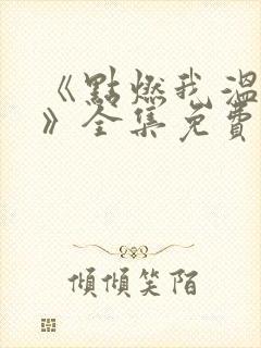 《点燃我温暖你》全集免费电视剧