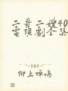 二哥二嫂40集电视剧全集高清