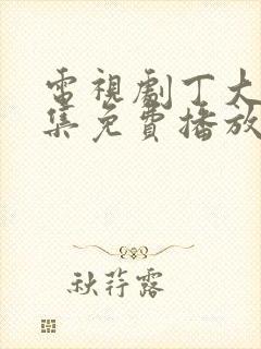 电视剧丁大命全集免费播放