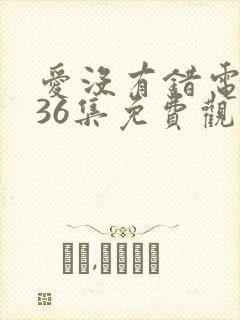 爱没有错电视剧36集免费观看剧情封面