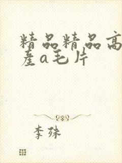 精品精品高清国产a毛片