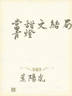 当甜文结局之后青灯封面
