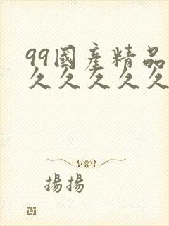 99国产精品久久久久久久封面