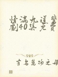 情满九道弯电视剧40集免费观看封面