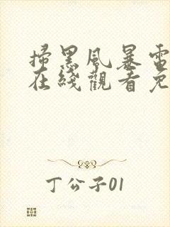 扫黑风暴电视剧在线观看免费完整版