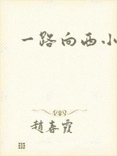 一路向西小说