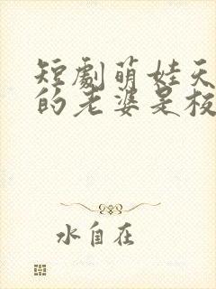 短剧萌娃天降我的老婆是校花完整版