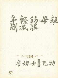 年轻的母亲5未删减版
