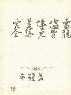 完美伴侣电视剧全集免费观看封面