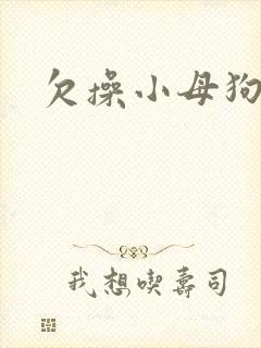 欠操小母狗封面