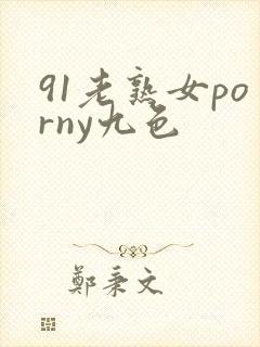 91老熟女porny九色封面