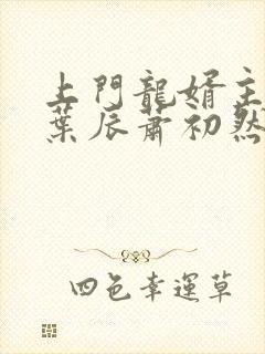 上门龙婿主人公叶辰萧初然