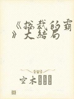 《总裁的霸道爱》大结局