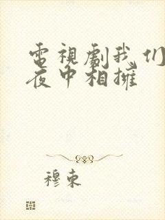 电视剧我们在黑夜中相拥