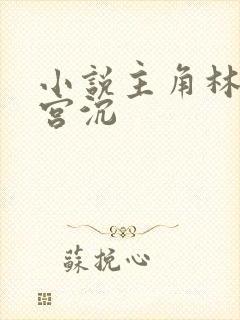 小说主角林知意宫沉