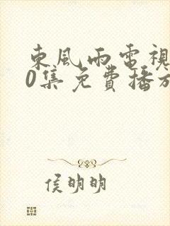 东风雨电视剧40集免费播放在线观看