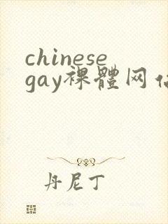 chinesegay裸体网站封面