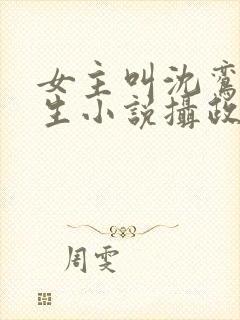 女主叫沈鸾的重生小说摄政王