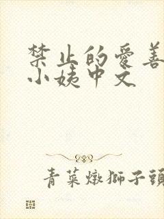 禁止的爱善良的小姨中文封面