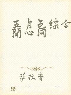 五月色综合婷婷开心网