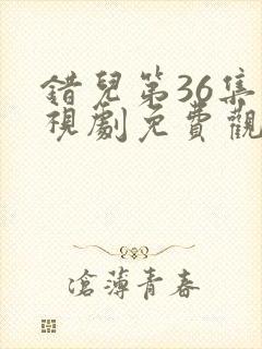 错儿第36集电视剧免费观看