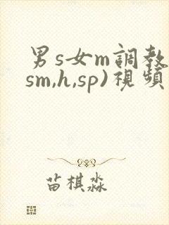 男s女m调教(sm,h,sp)视频
