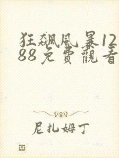 狂飙风暴12一88免费观看