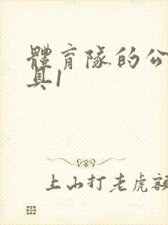 体育队的公用玩具1