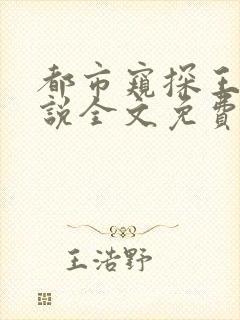 都市窥探王飞小说全文免费阅读无弹窗