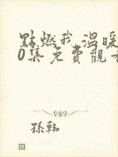 点燃我温暖你30集免费观看封面