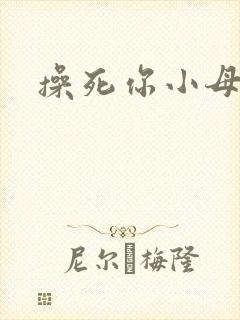 操死你小母狗